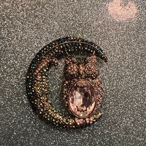 Owl and Crescent Moon Heidi Daus Brooch